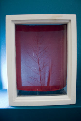 a letter to joseph cornell -satisfying lover